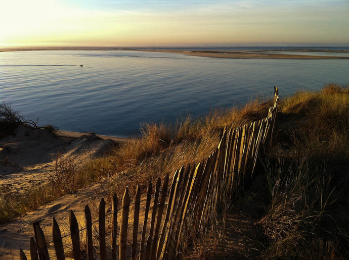 Idée de bivouac en Hamac dans les Landes : La Dune du Pyla