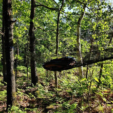 Charger l&#39;image dans la galerie, hamac filaire tendu en foret
